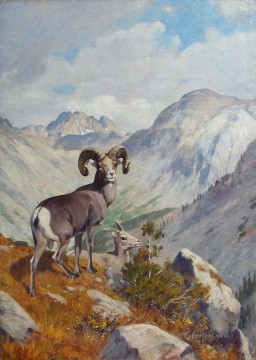 chèvre Tableau Peinture - rungius bighorn et Montagne chèvre